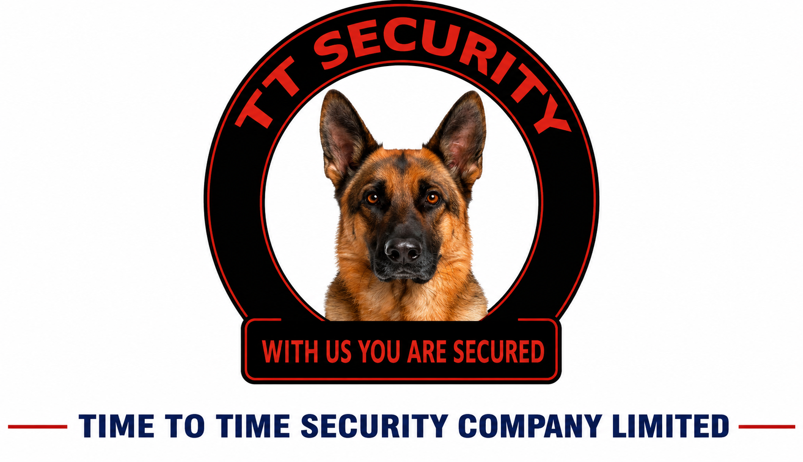 TT Security logo